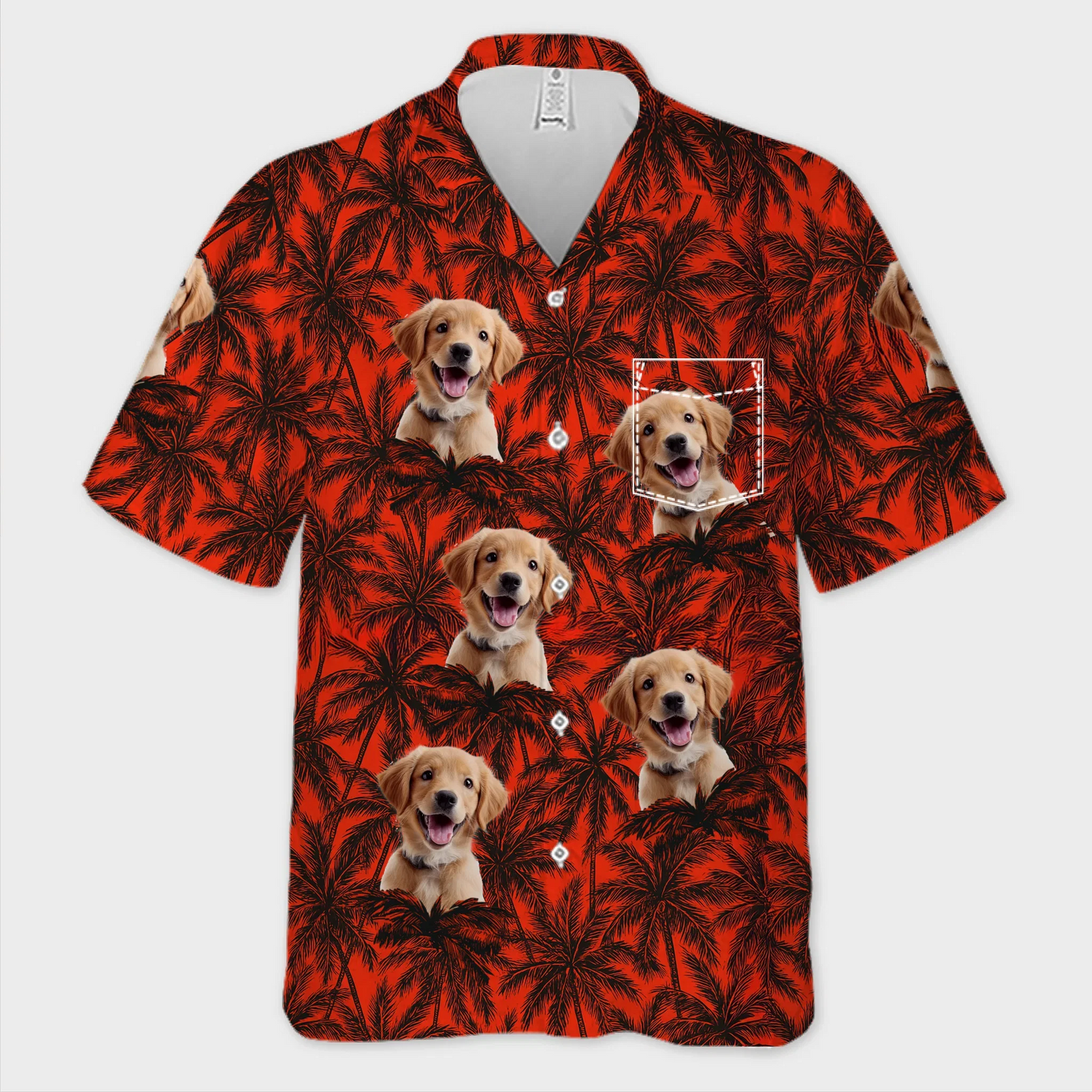 BC-PHOTO-PAWS-P-MOCKUP-4-83EEE
