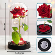 BC-PHOTO-LIGHT--MOCKUP-5-A8CC3