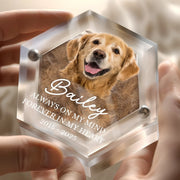 BC-PHOTO-PET-FU-MOCKUP-4-A9803