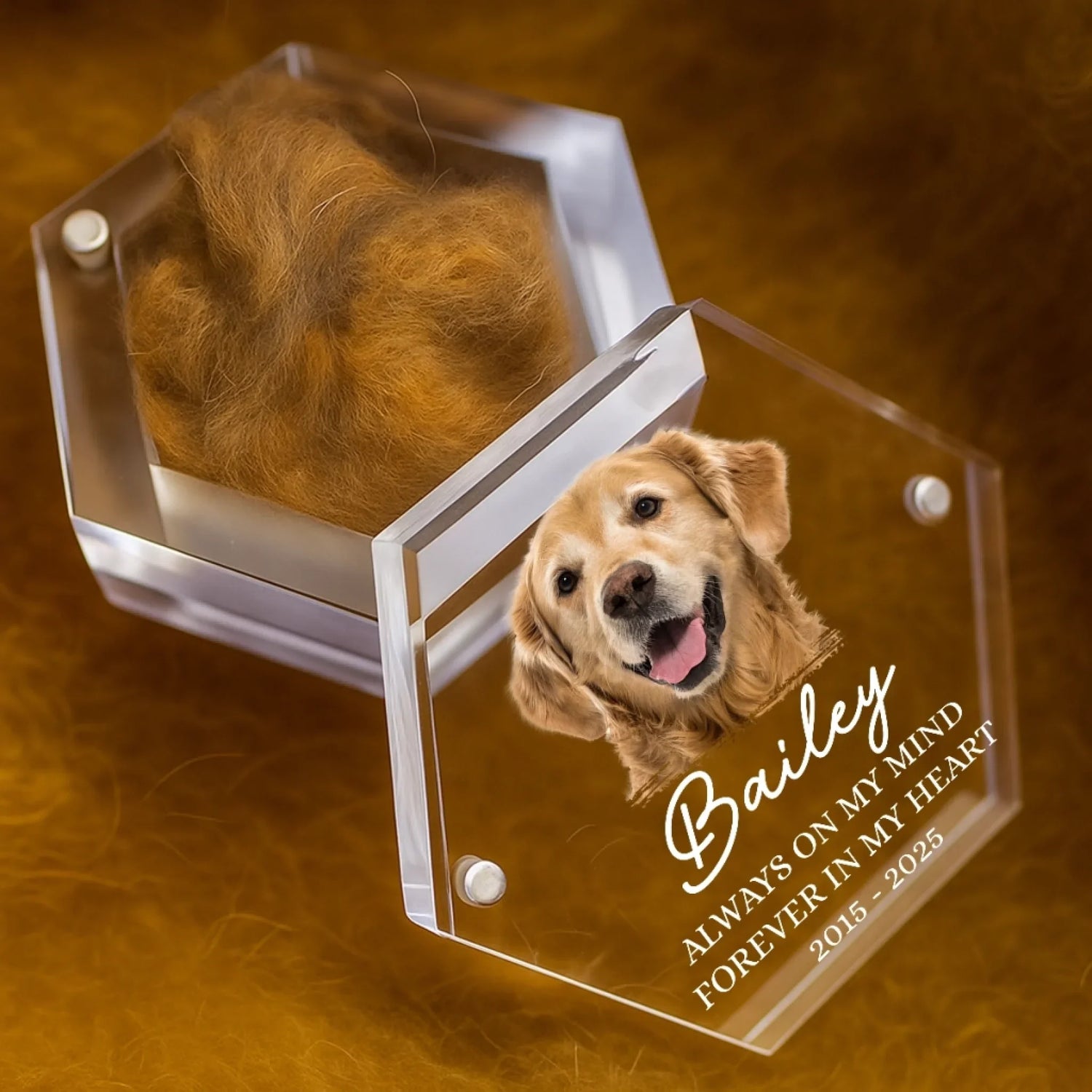 BC-PHOTO-PET-FU-MOCKUP-5-B0996