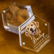 BC-PHOTO-PET-FU-MOCKUP-5-B0996