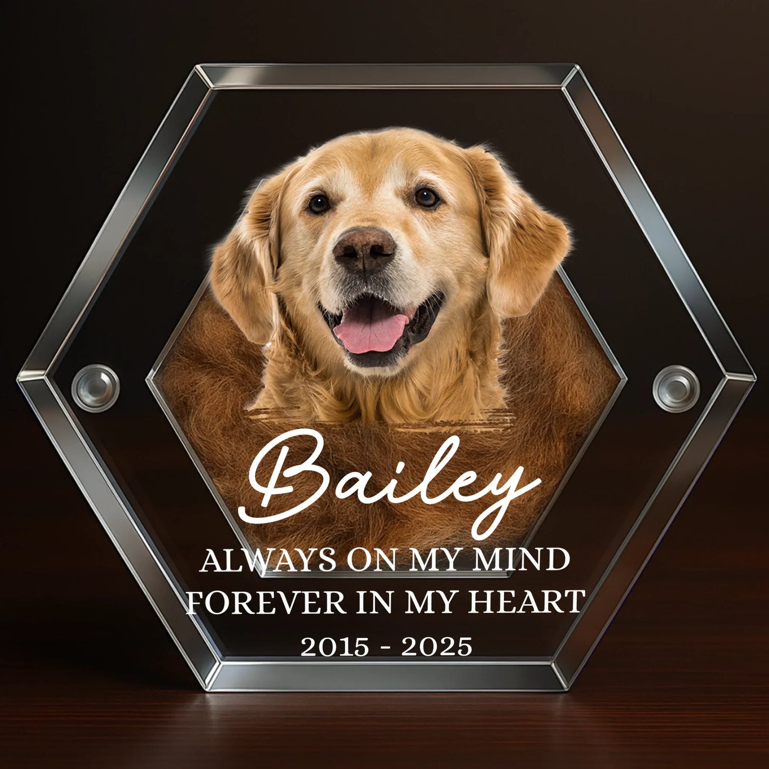 BC-PHOTO-PET-FU-MOCKUP-3-F9488