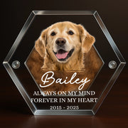 BC-PHOTO-PET-FU-MOCKUP-3-F9488