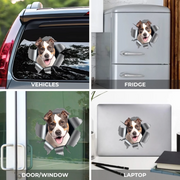 BC-PHOTO-RV-DEC-MOCKUP-7-35868