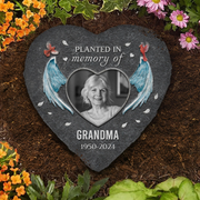 BC-PHOTO-PLANTE-MOCKUP-3-12D43