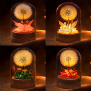 BC-PHOTO-LIGHT--MOCKUP-9-14D35