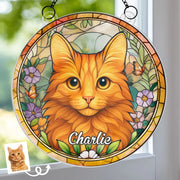 BC-PHOTO-WINDOW-MOCKUP-2-2A8CE