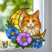 BC-PHOTO-WINDOW-MOCKUP-2-D0A3A