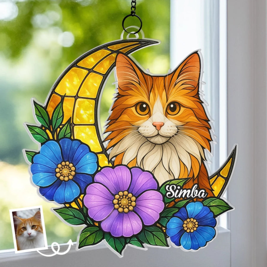BC-PHOTO-WINDOW-MOCKUP-2-D0A3A