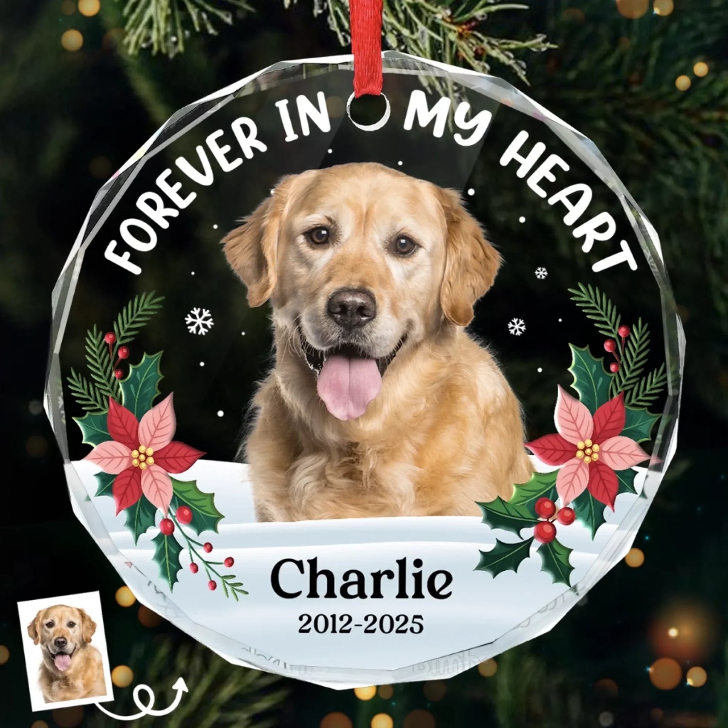 BC-PHOTO-CIRCLE-MOCKUP-2-84609