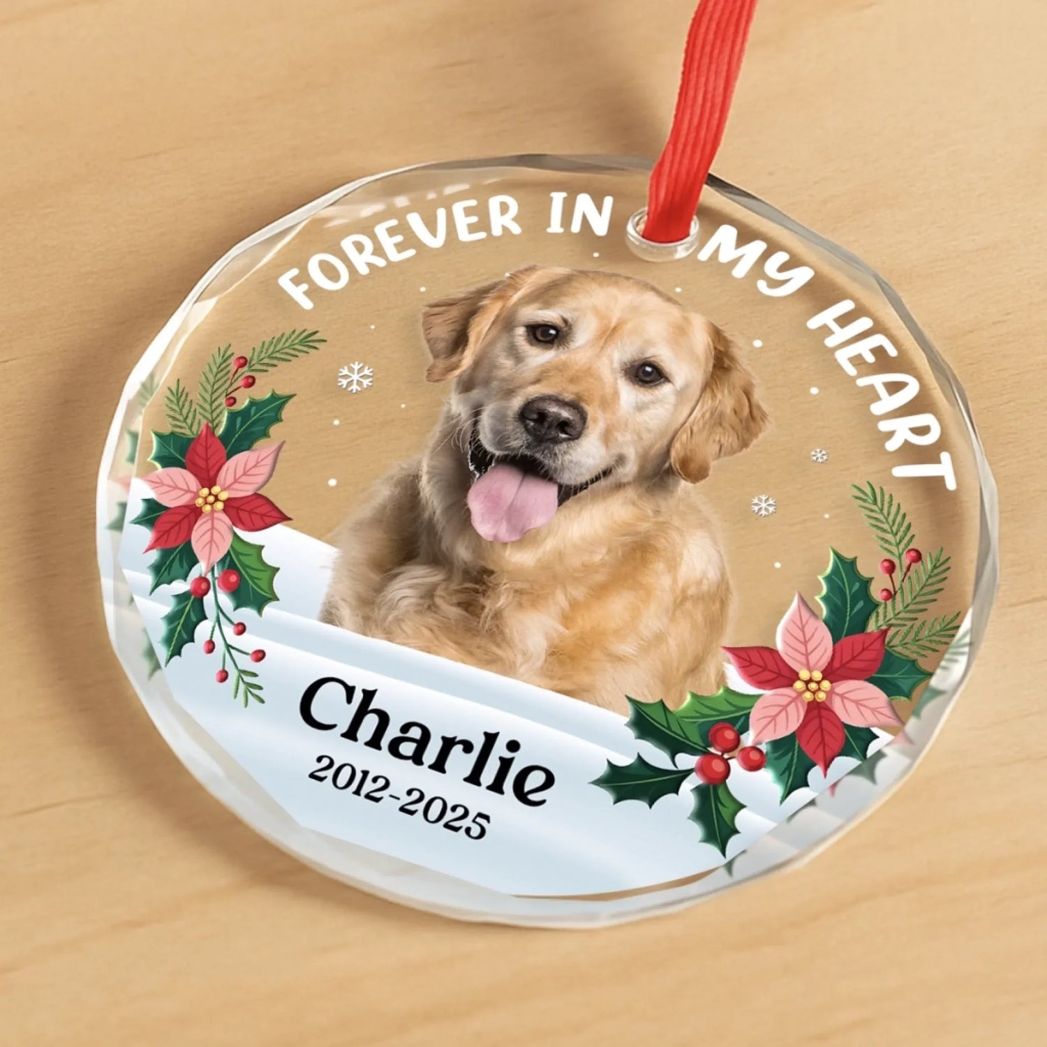BC-PHOTO-CIRCLE-MOCKUP-4-64E00