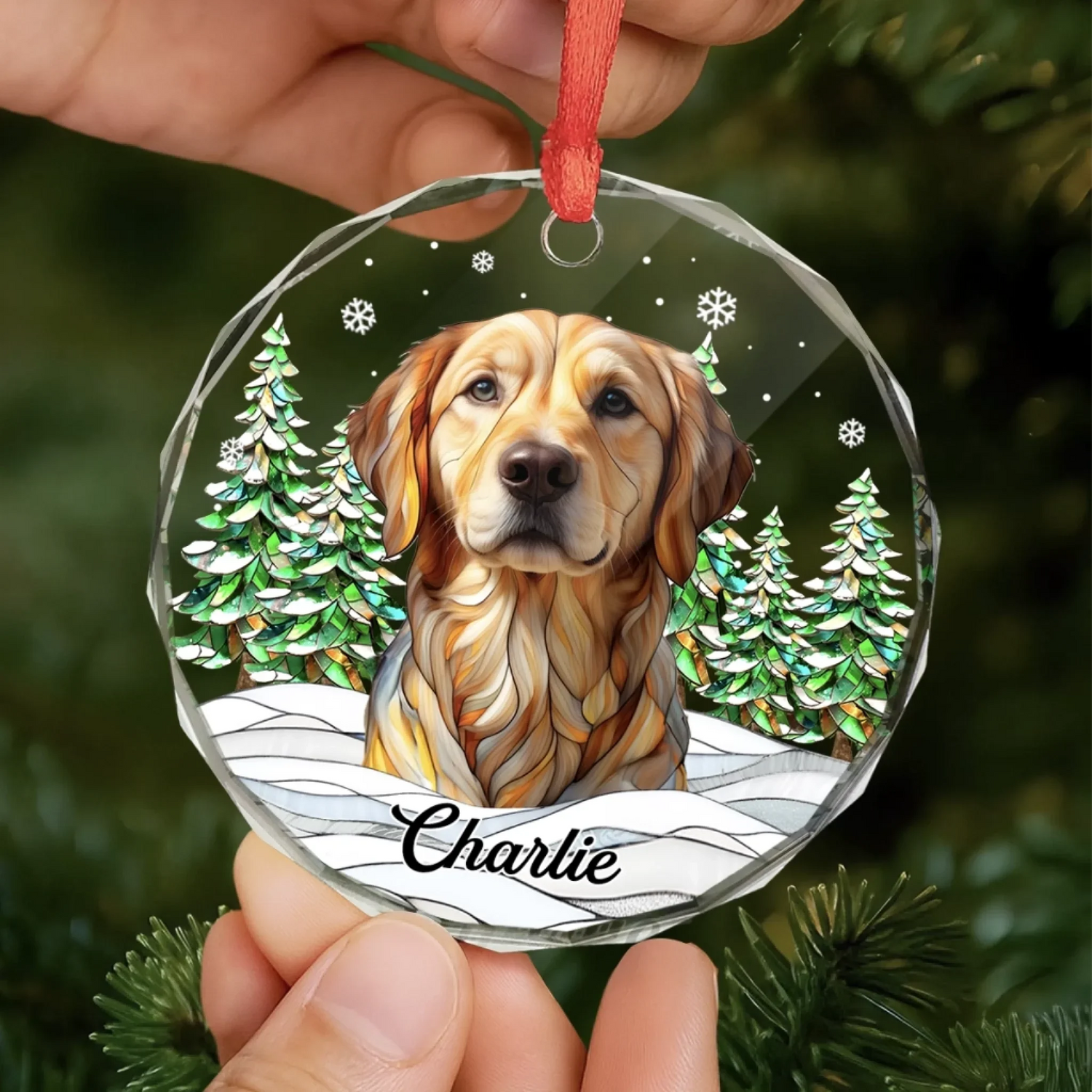 BC-PHOTO-CIRCLE-MOCKUP-5-B65EE