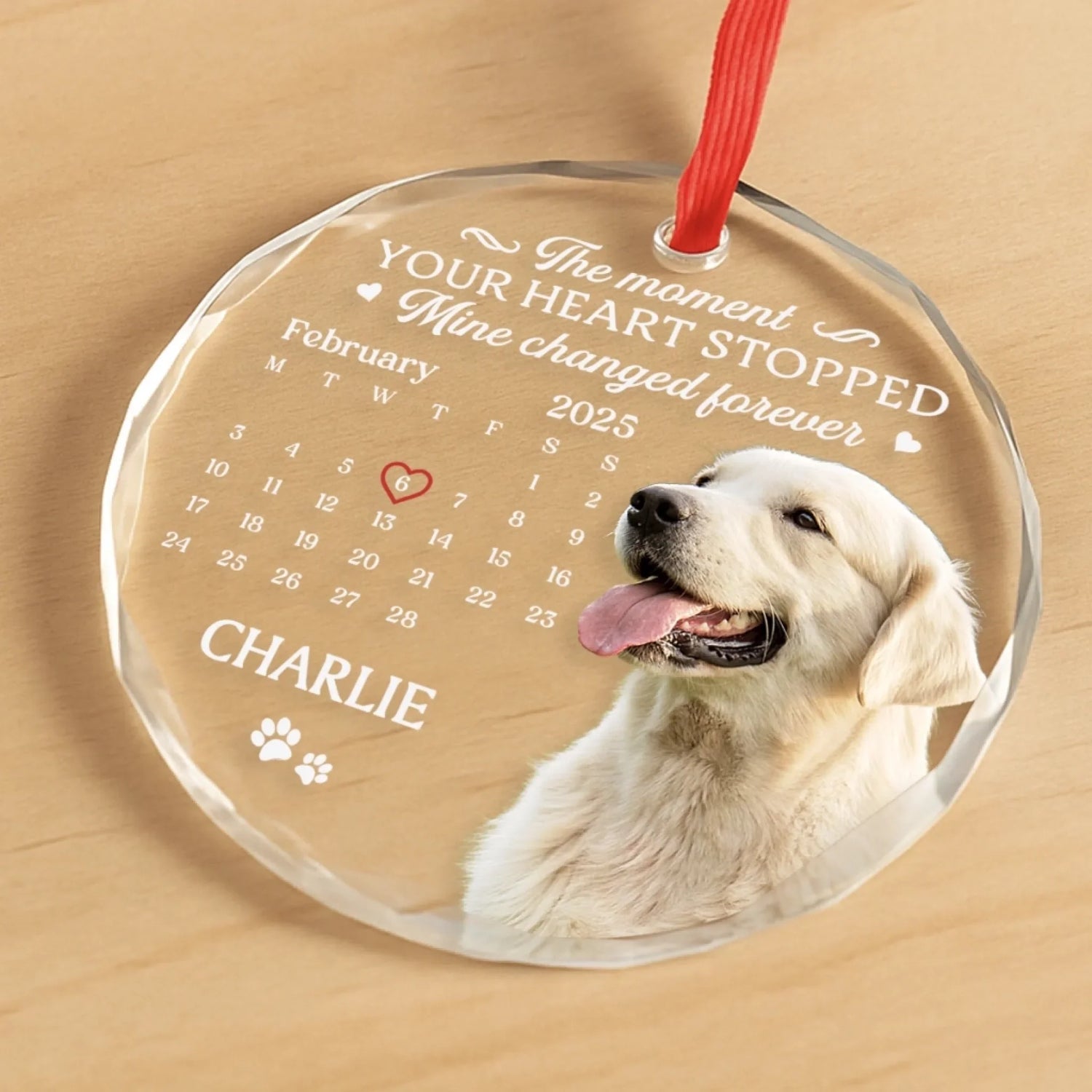 BC-PHOTO-CIRCLE-MOCKUP-4-C5A76
