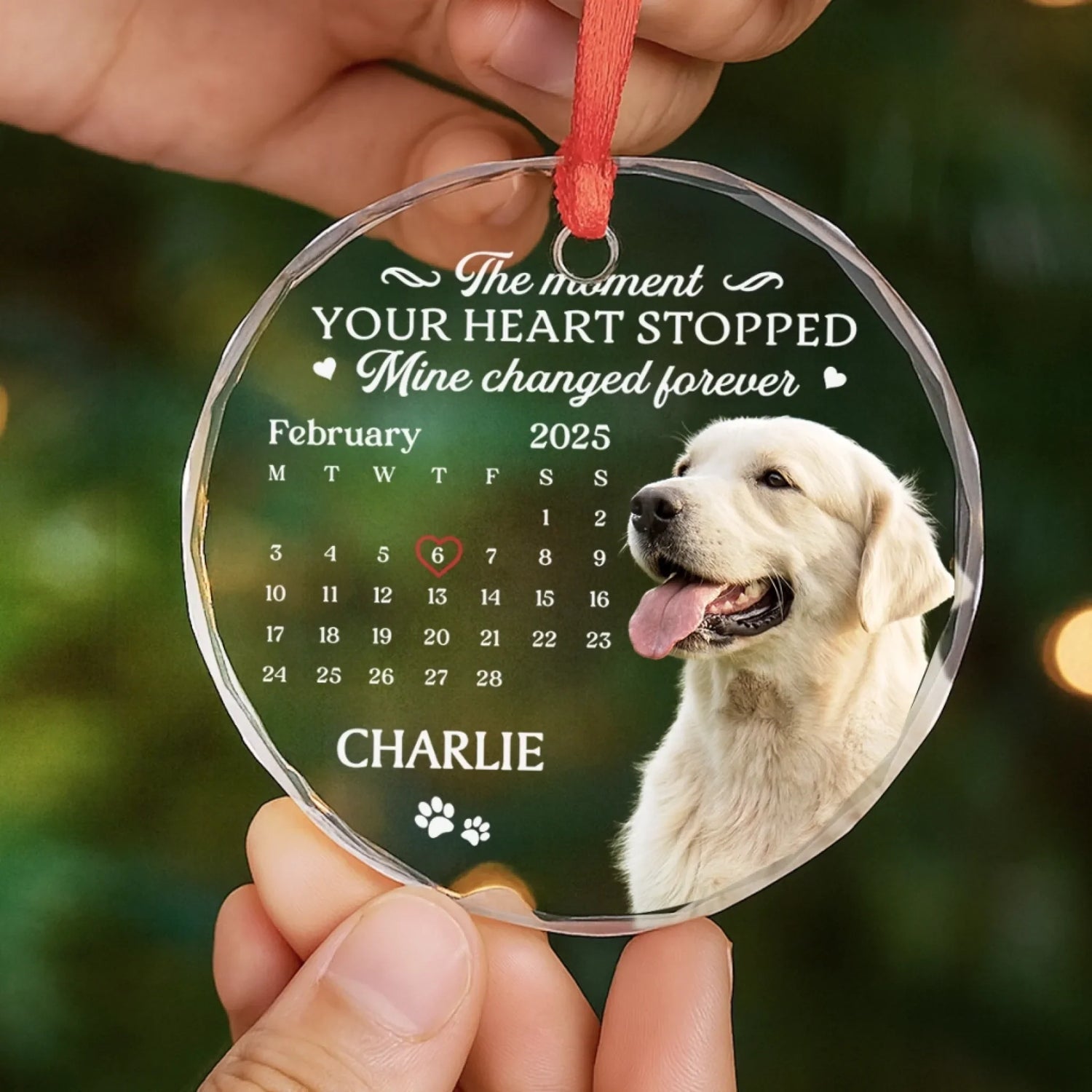 BC-PHOTO-CIRCLE-MOCKUP-6-35EAC