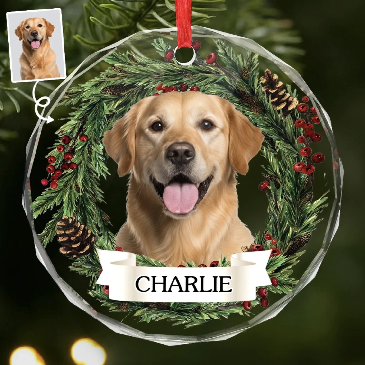 BC-PHOTO-CIRCLE-MOCKUP-2-DD1D4