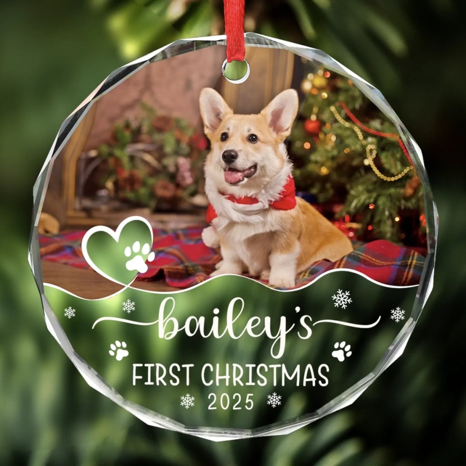 BC-PHOTO-FIRST--MOCKUP-5-A0737