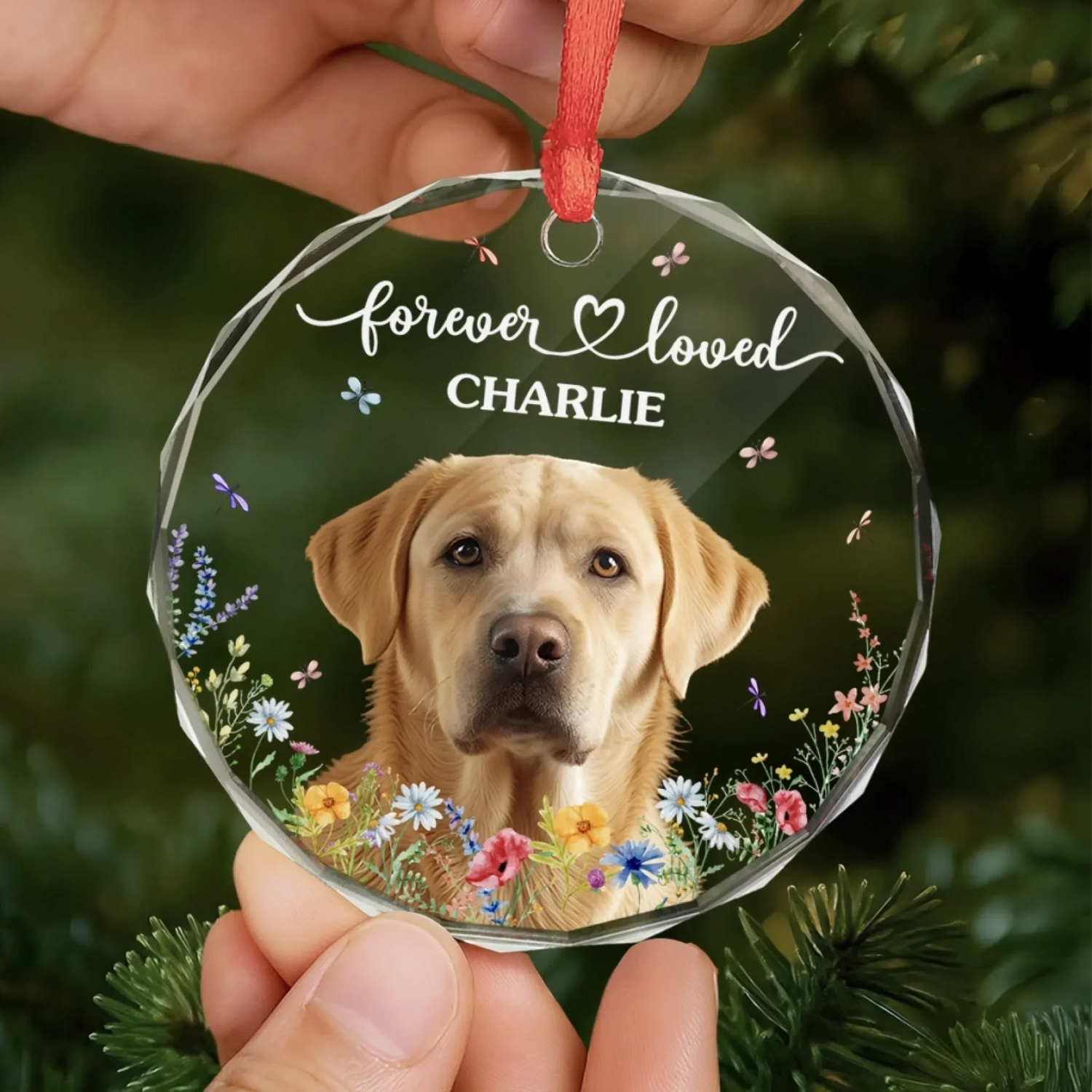 BC-PHOTO-CIRCLE-MOCKUP-6-117DA