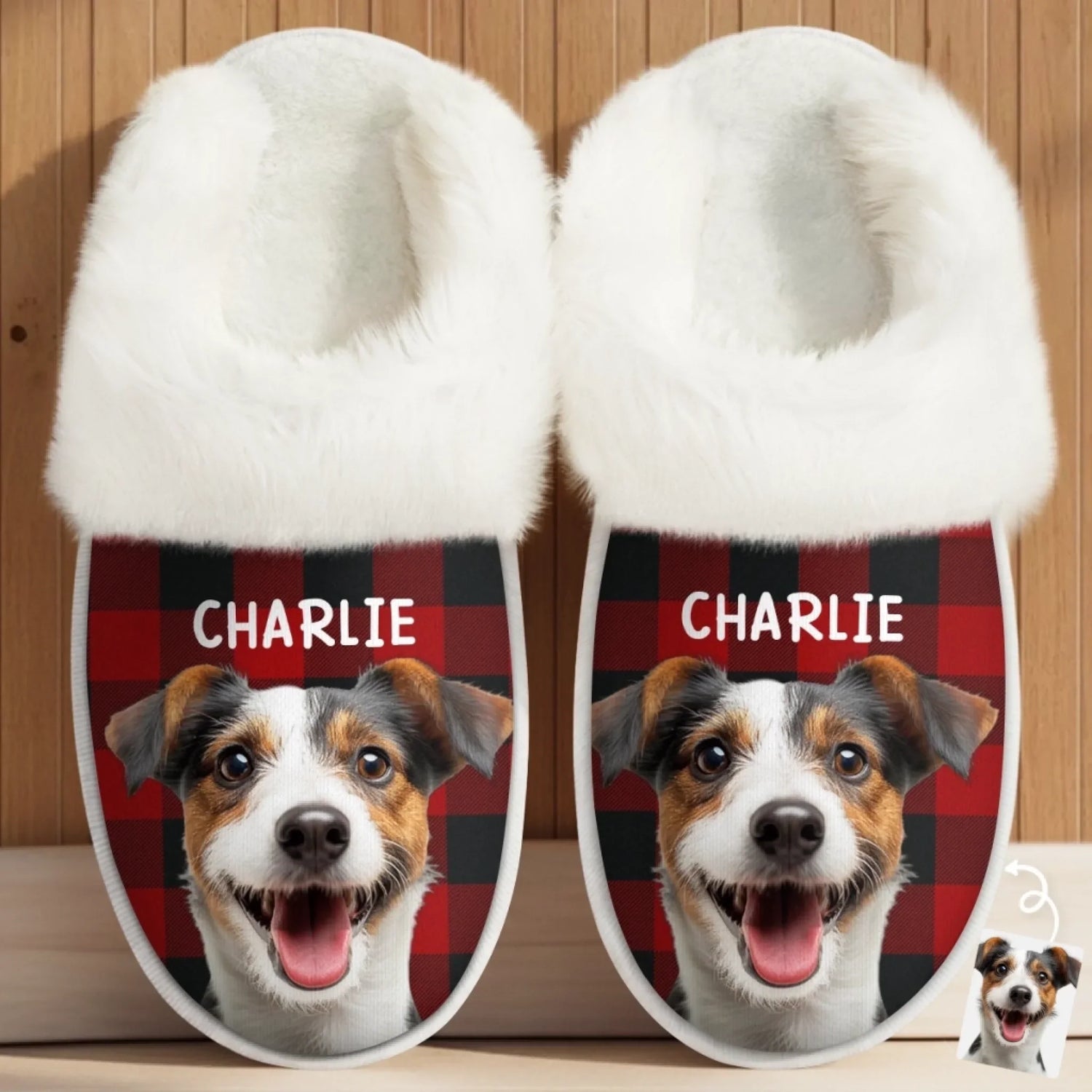 BC-PHOTO-FLUFFY-MOCKUP-2-DDDDC