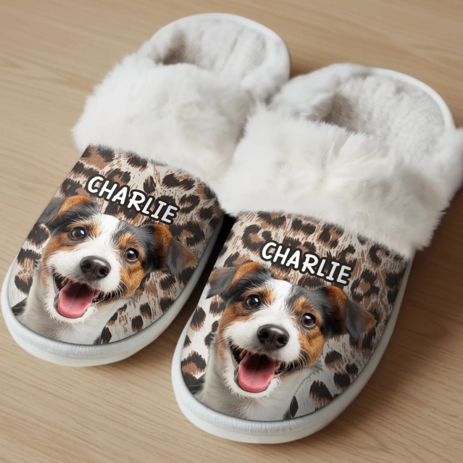 BC-PHOTO-FLUFFY-MOCKUP-4-512F1