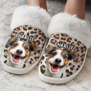BC-PHOTO-FLUFFY-MOCKUP-5-4FAF2