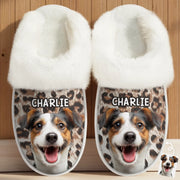 BC-PHOTO-FLUFFY-MOCKUP-2-A9B69