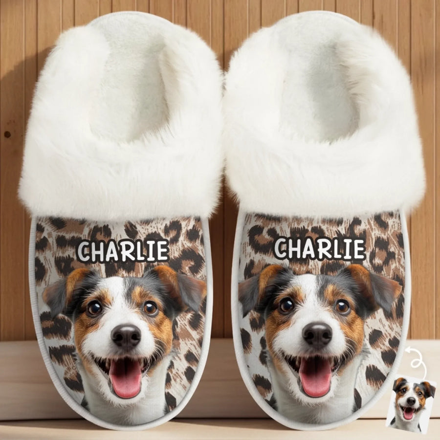 BC-PHOTO-FLUFFY-MOCKUP-2-A9B69
