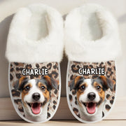 BC-PHOTO-FLUFFY-MOCKUP-3-CF1F7