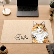 BC-PHOTO-DESK-M-MOCKUP-3-484AC