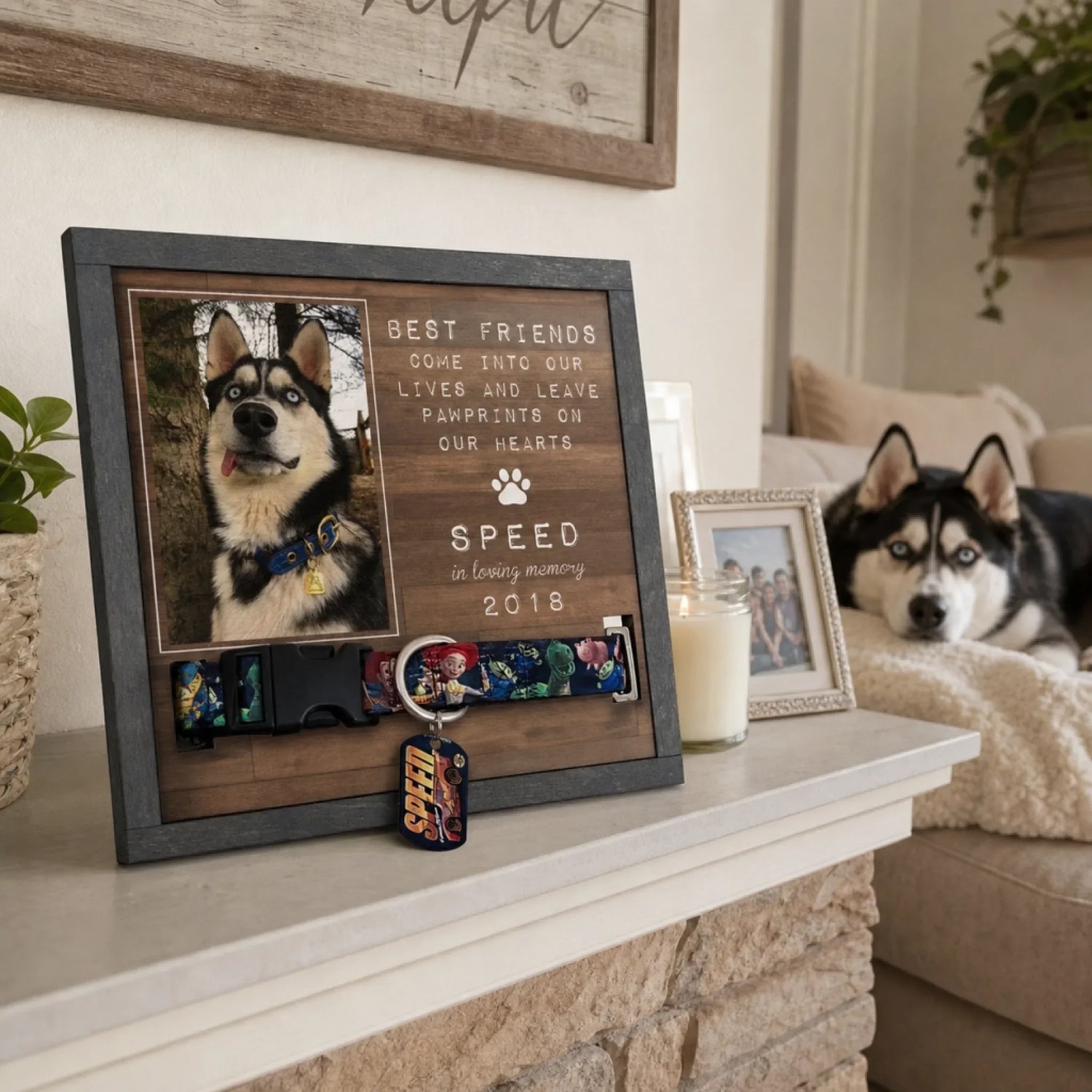 BC-PHOTO-PET-LO-MOCKUP-6-558D7
