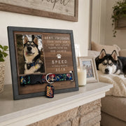 BC-PHOTO-PET-LO-MOCKUP-6-558D7