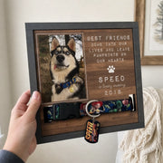 BC-PHOTO-PET-LO-MOCKUP-7-A91EF