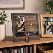 BC-PHOTO-PET-LO-MOCKUP-5-AA12A
