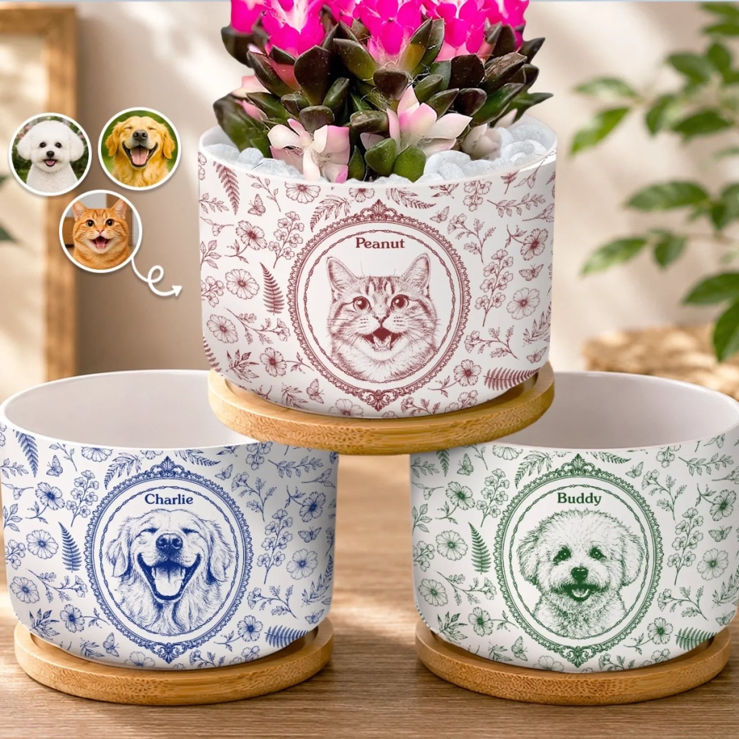 BC-PHOTO-HOME-D-MOCKUP-2-9E18C