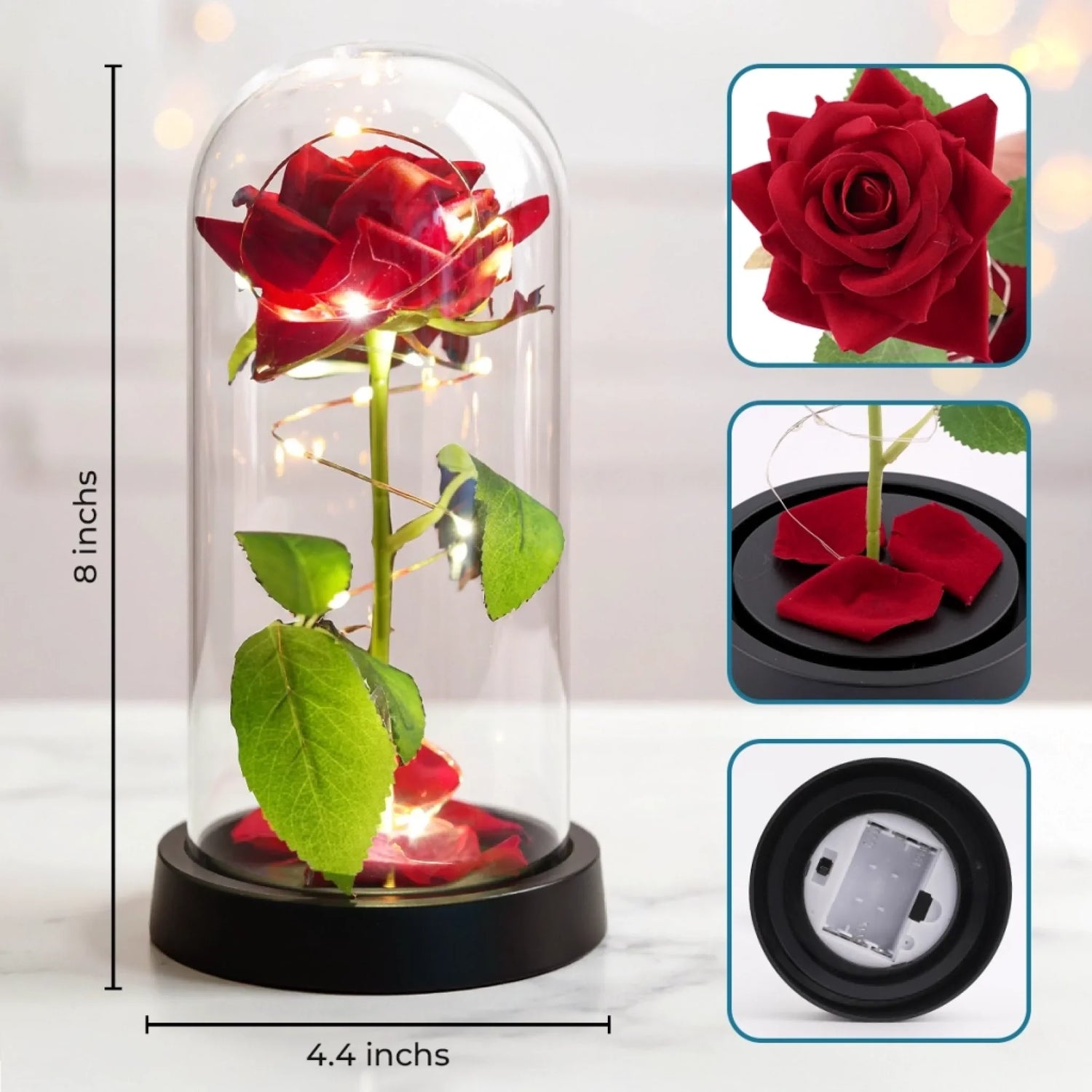 BC-PHOTO-LIGHT--MOCKUP-7-779B2