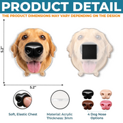 BC-PHOTO-DOG-NO-MOCKUP-6-F5C5F