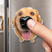 BC-PHOTO-DOG-NO-MOCKUP-3-BF139