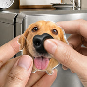 BC-PHOTO-DOG-NO-MOCKUP-4-46A26