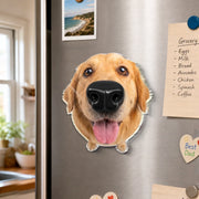 BC-PHOTO-DOG-NO-MOCKUP-5-5D058