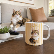 BC-PHOTO-ACCENT-MOCKUP-9-BAB0E