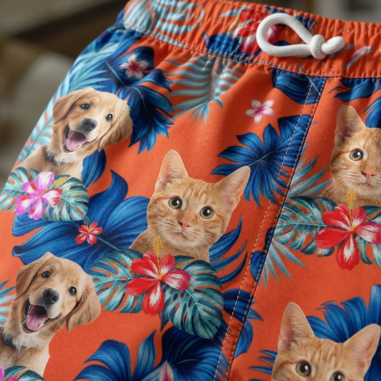BC-PHOTO-PAWS-O-MOCKUP-7-C3C0A