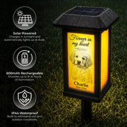 BC-PHOTO-SOLAR--MOCKUP-7-34C82