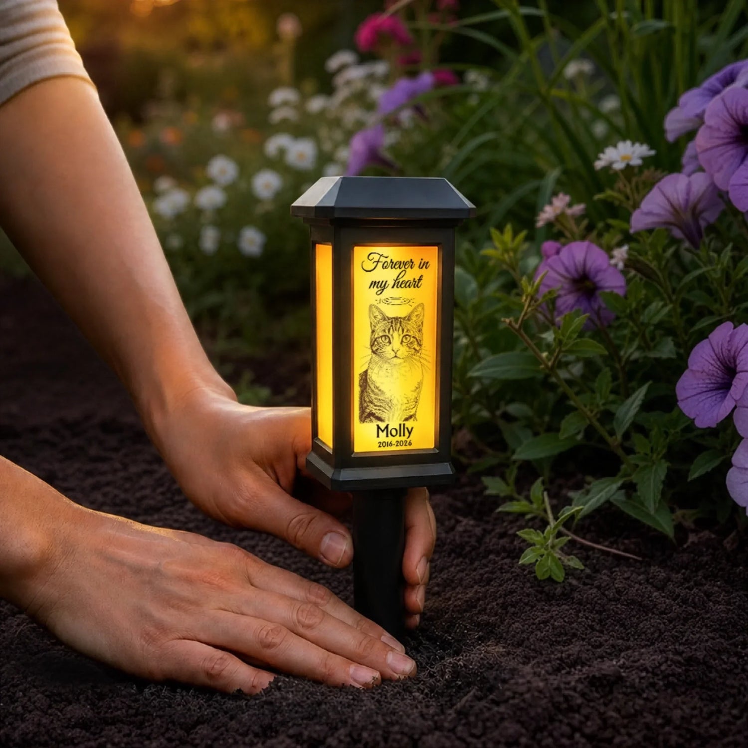 BC-PHOTO-SOLAR--MOCKUP-5-D2638