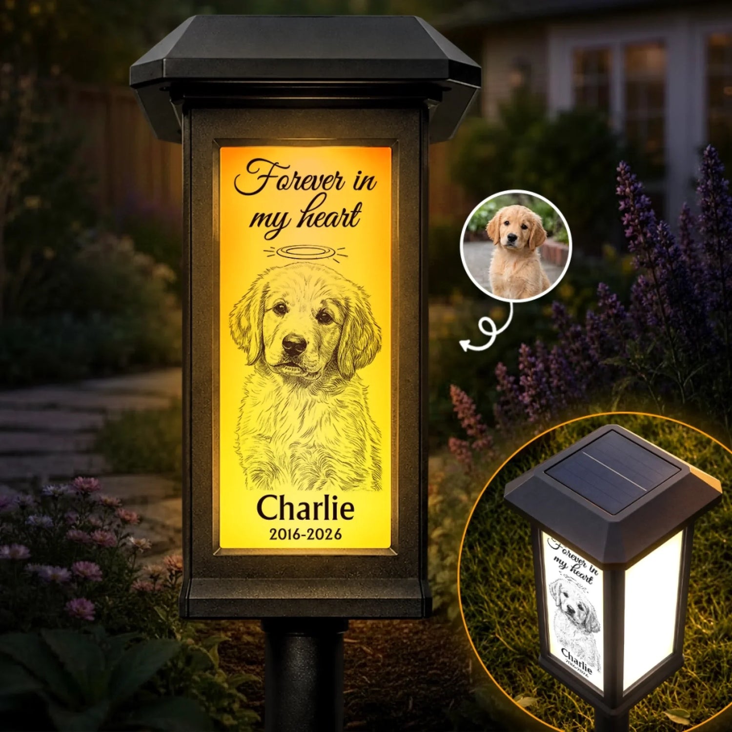 BC-PHOTO-SOLAR--MOCKUP-2-F6528