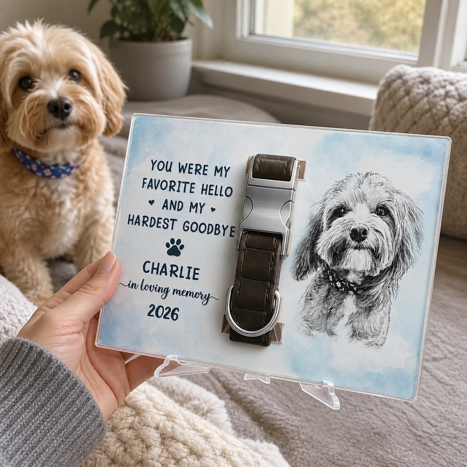 BC-PHOTO-PET-CO-MOCKUP-4-D86EE