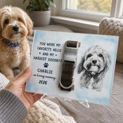 BC-PHOTO-PET-CO-MOCKUP-4-D86EE
