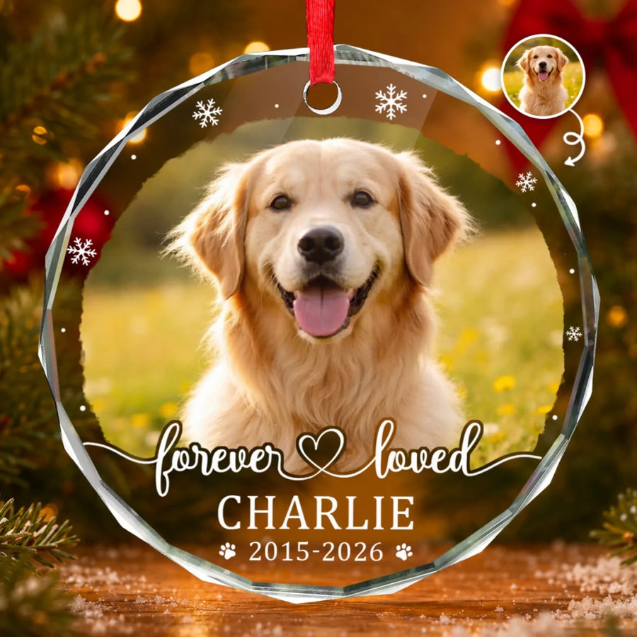 BC-PHOTO-CIRCLE-MOCKUP-2-983CD