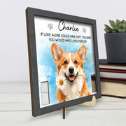 BC-PHOTO-PET-LO-MOCKUP-4-373DA