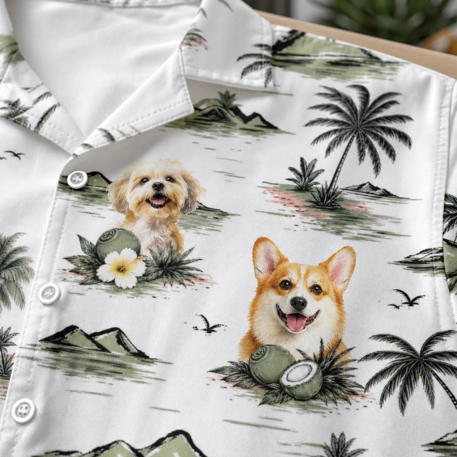 BC-PHOTO-UNISEX-MOCKUP-8-2961C