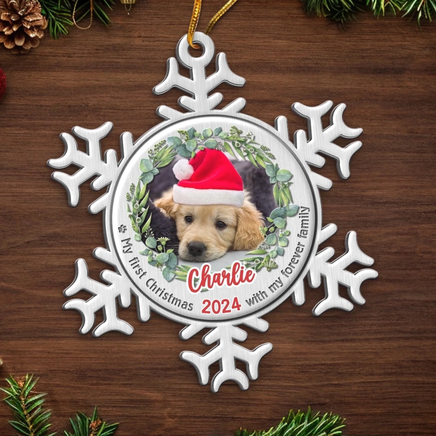 BC-PHOTO-FURRY--MOCKUP-5-43654