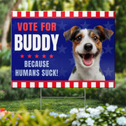 BC-PHOTO-FURRY--MOCKUP-4-53B9D